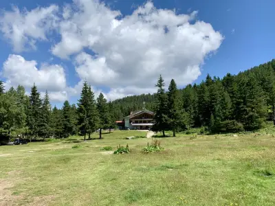 Чайната
