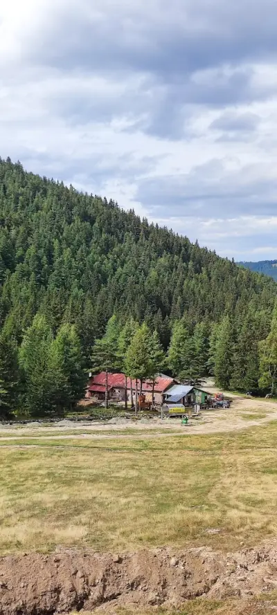 Чайната