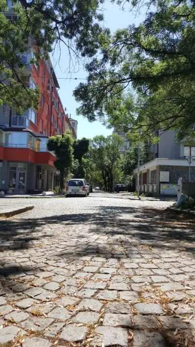 Мишели