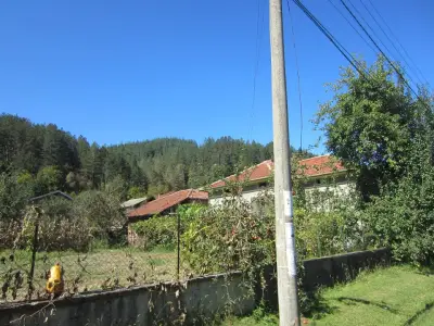 Самостоятелни стаи Видима