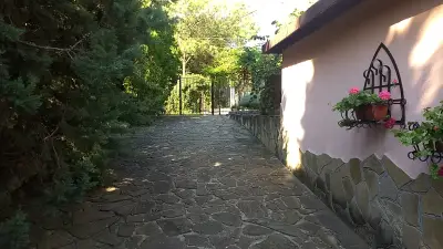 Мотиви Котидж