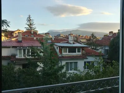 Mini Sofia