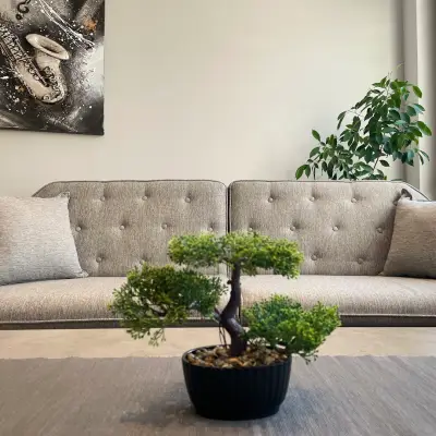 Shushi's Luxurious Apartment