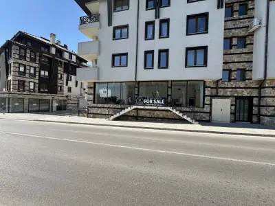 Local Property Expert
