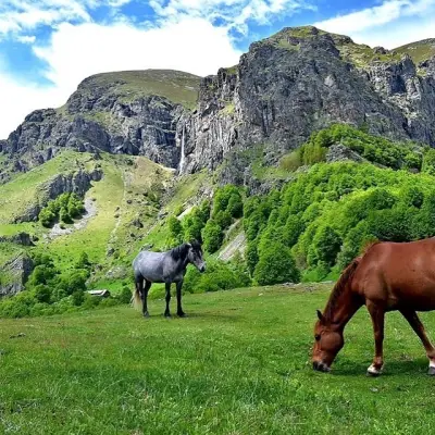 Къща за гости "Край Реките"