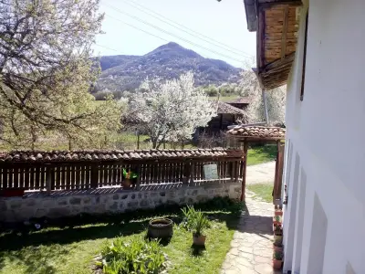 Къща за гости "Стела"