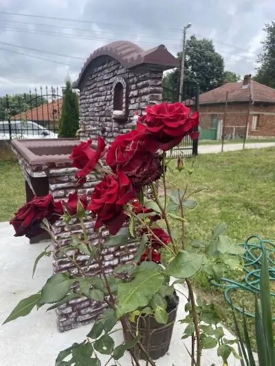 Вила Мирела