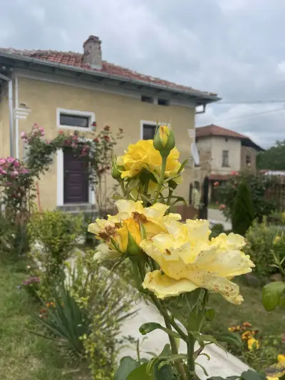 Вила Мирела