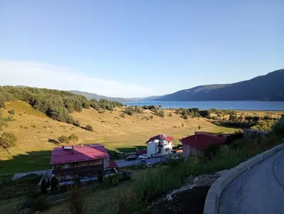 Айрови