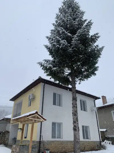 Lipite Guest House