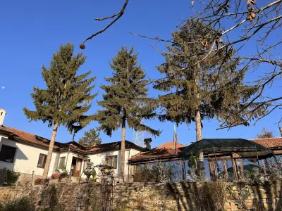 The 3 Pines GuestHouse - Трите Бора