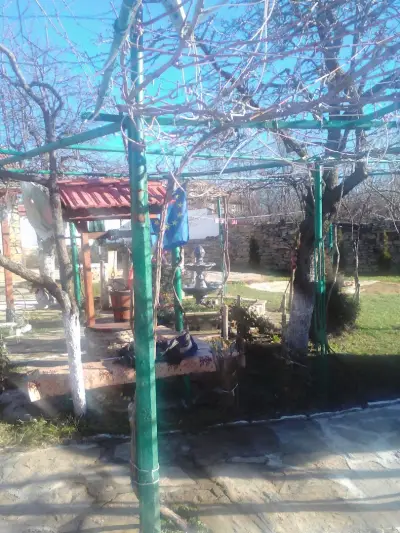 Къща „Палмс“