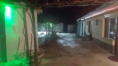 Къща „Палмс“