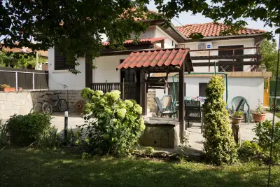 Вила Калин