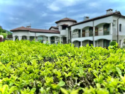 Къща за гости Петра / Guest house Petra