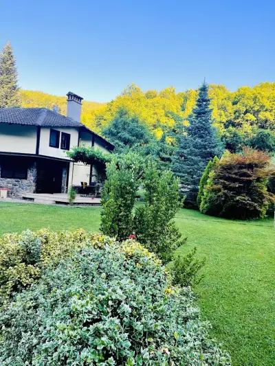 Dream Villa, Kotenovtsi