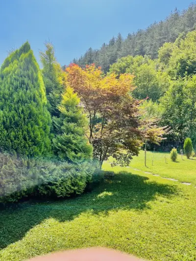 Dream Villa, Kotenovtsi