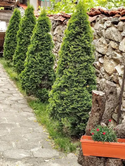 Guest House Emiliya