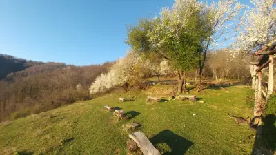 Арт комплекс Горски дом - Трявна