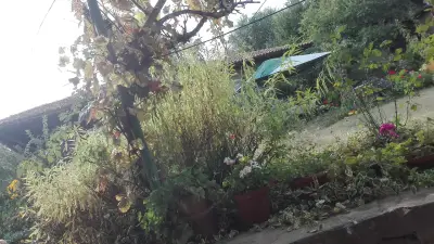 Къща за гости Ванда