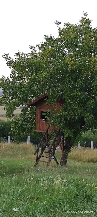 Villa Del Sole
