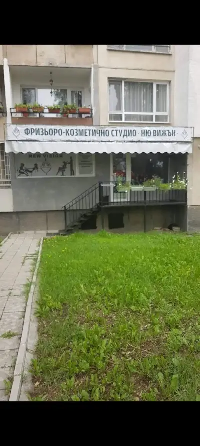 Ню вижън