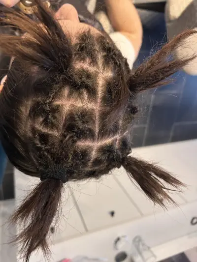 Braids Hairhut Pleven