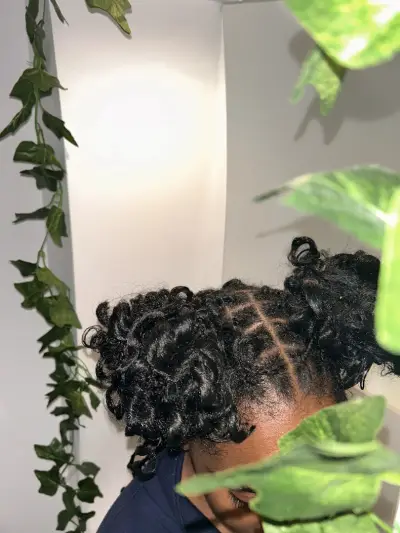 Braids Hairhut Pleven