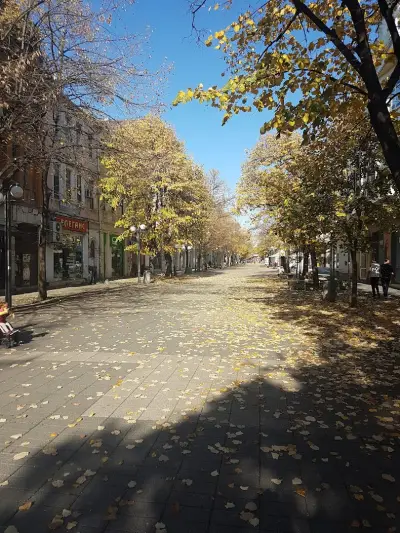 Еврони