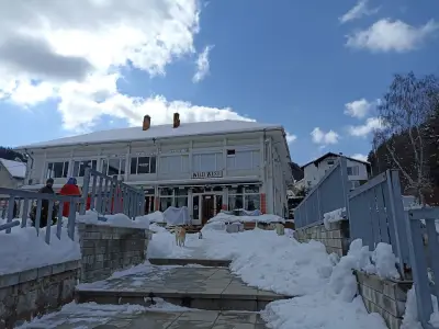 Брезите (ВПК Съединение)