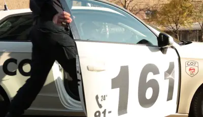 СОТ 161