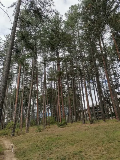 Вельова баня