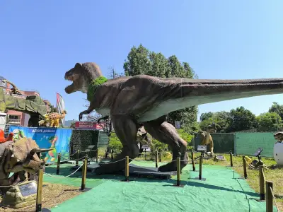 Jump park+ trampolines and games for children