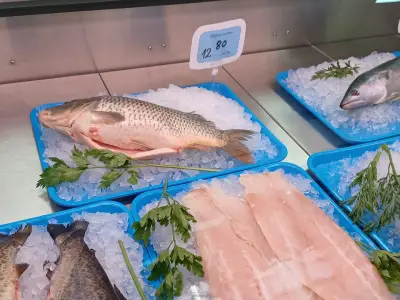 Златният шаран