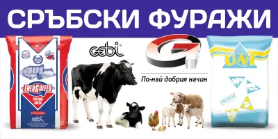 Фуражи ГЕБИ