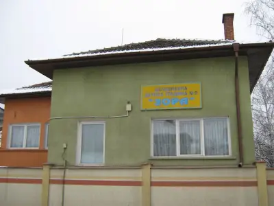 ДГ 9 Зора - Монтана