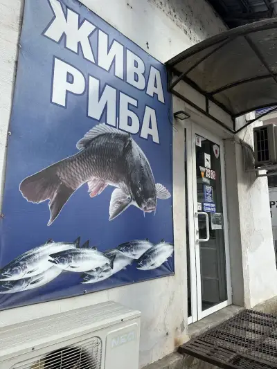 Рибен Магазин Троян – Прясна, охладена и замразена риба, домашни разядки и морски деликатеси Троян