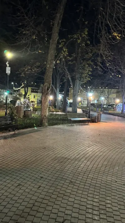 Финансови услуги гр.Свищов