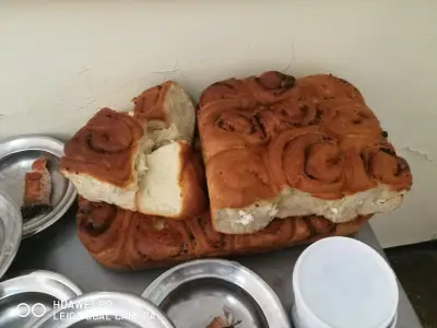 Държавна психиатрична болница гр. Бяла