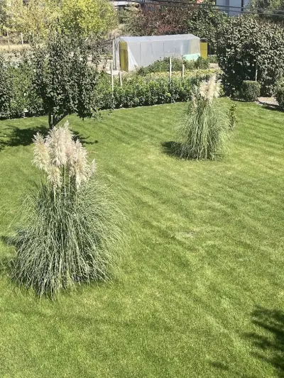 Къща Бети самостоятелни апартаменти с двор край Пловдив
