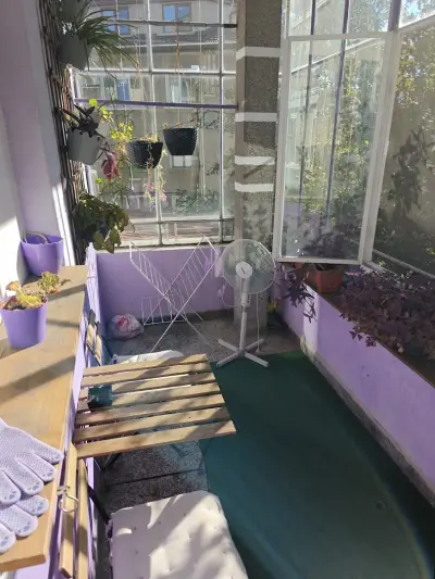 Purple StudioS