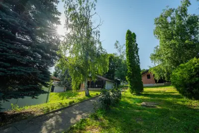 Комплекс Асеневци
