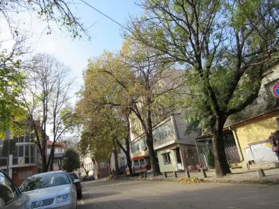 Окръжен съд