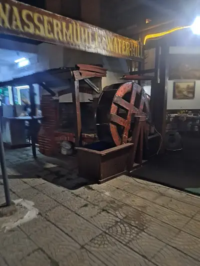 Чайка