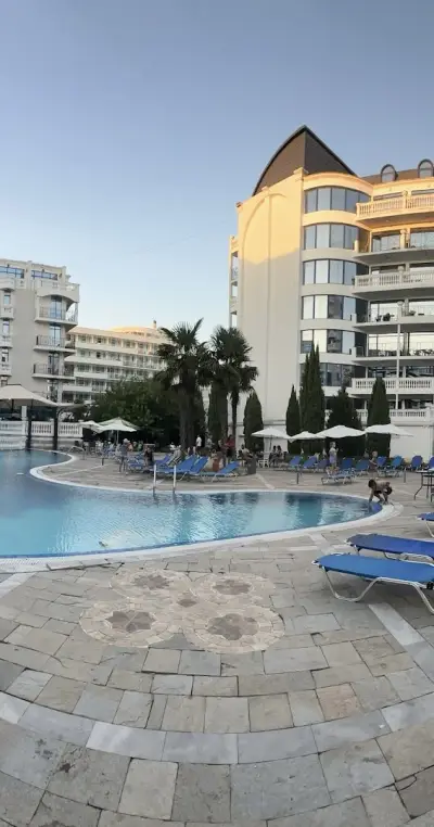 Чайка