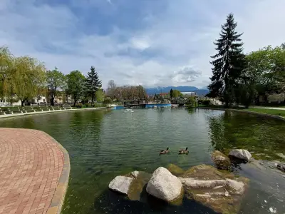 Крайискърец