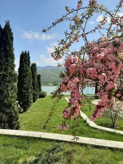 Pravets Resort Apartments