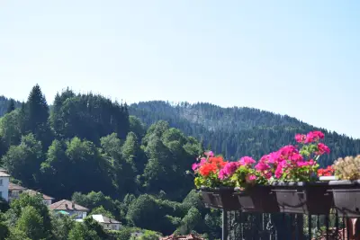 Visit Momchilovtsi