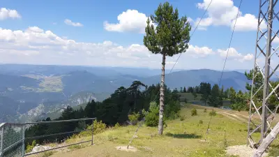 Вълчи камък