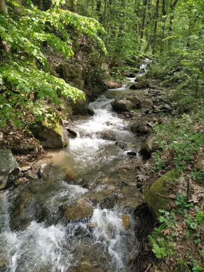 Камешнишки водопад „Срамежливеца“